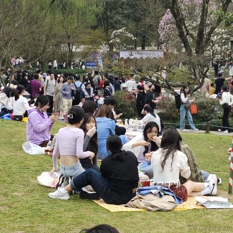 搬砖大哥于2023-03-12 14:14发布的图片