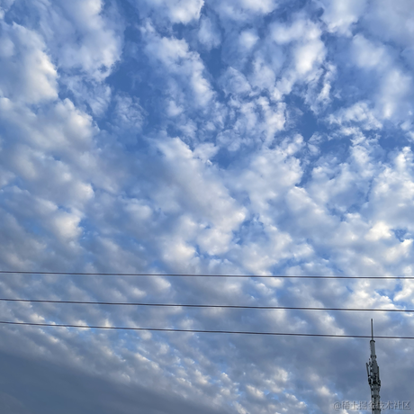 贝拉kira闪闪发光于2022-12-17 16:40发布的图片