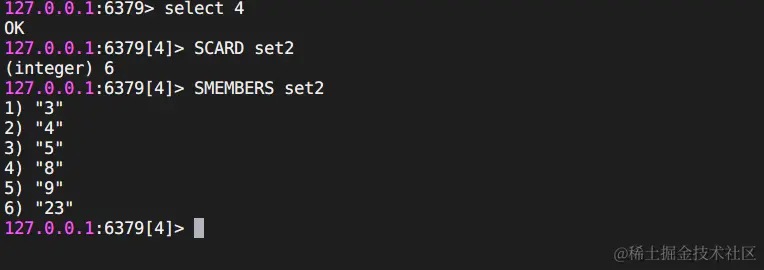 image-20230910204018382