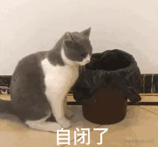 自闭了