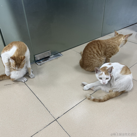 472772于2023-04-20 18:41发布的图片