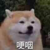 何止于2020-09-01 11:06发布的图片