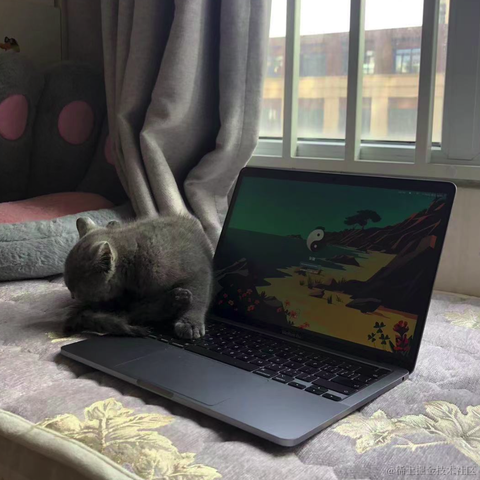 Java程序猿于2022-11-23 15:00发布的图片