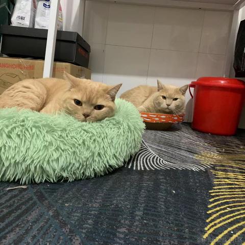 ByteFlow于2022-04-06 17:31发布的图片