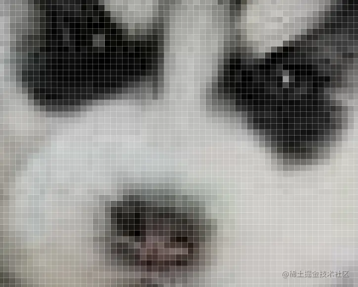 image-20210410103136813