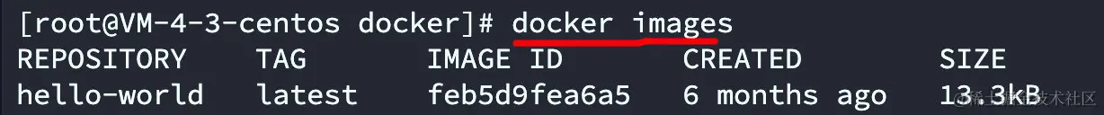 image-20220324095112805