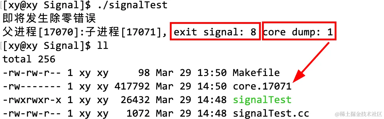 image-20230329145031031