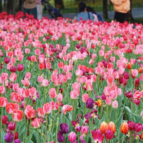 开不了囧于2024-03-02 16:11发布的图片