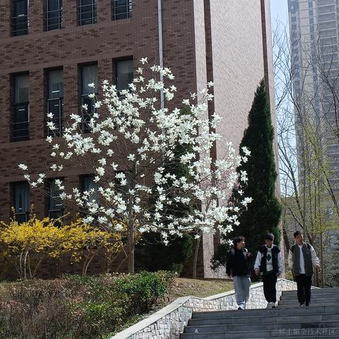 Grong于2023-04-27 20:48发布的图片