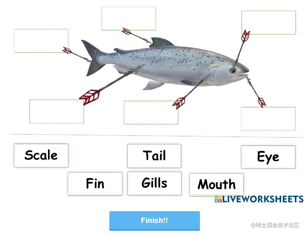 image-20220726215406180