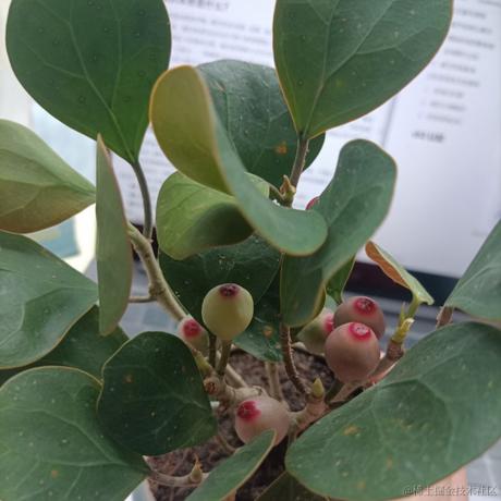 荒城临古渡于2023-04-15 20:06发布的图片