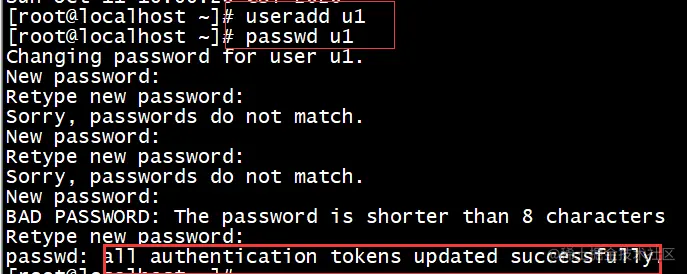 image-20201011160305452