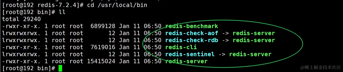 image-20240111195521319