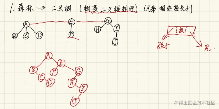森林转二叉树.png