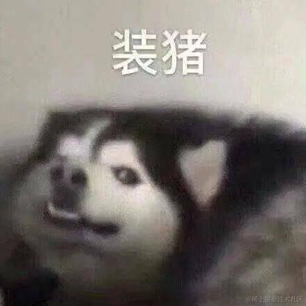 有一只猪于2022-04-08 13:10发布的图片