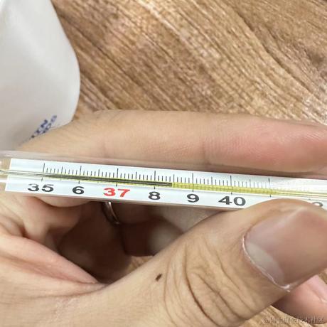 反杀闰土的猹于2023-12-19 14:43发布的图片