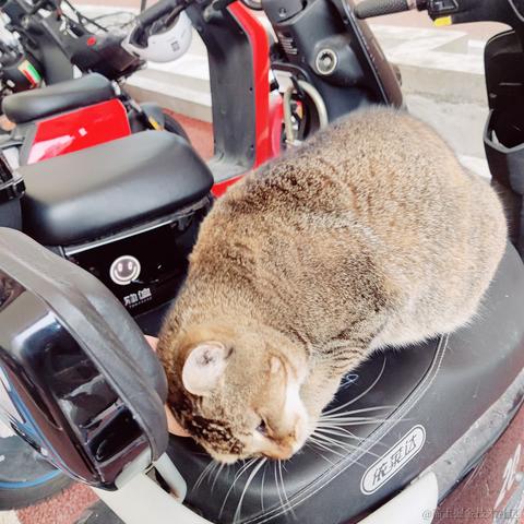 兔叽妹妹于2022-03-03 23:53发布的图片