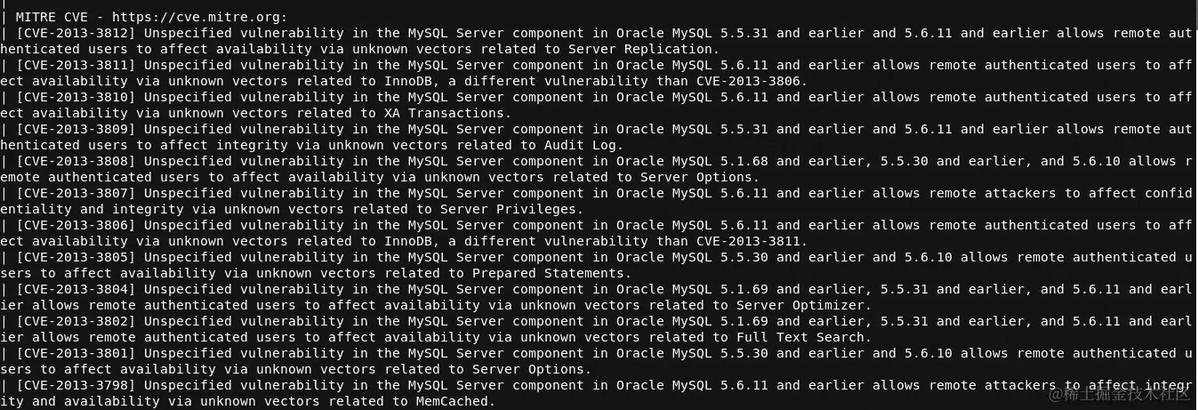 图 5.13 - 来自 Vulnscan 的信息