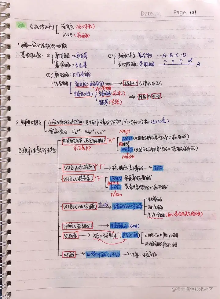 生化手写笔记.pdf