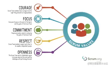 Scrum values