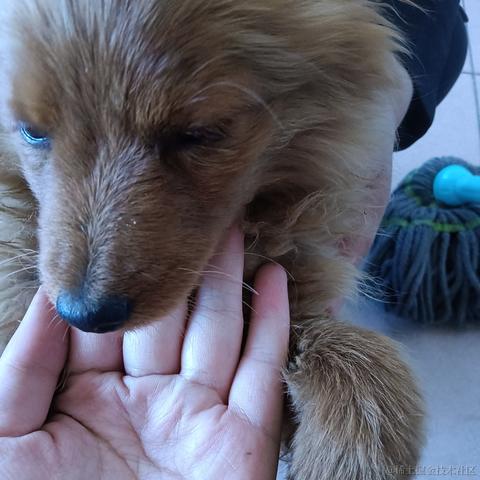 xzl_于2023-04-30 19:33发布的图片