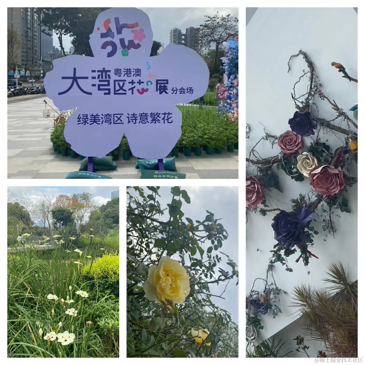 花展.jpg
