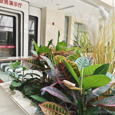 fighter_于2023-05-12 14:55发布的图片