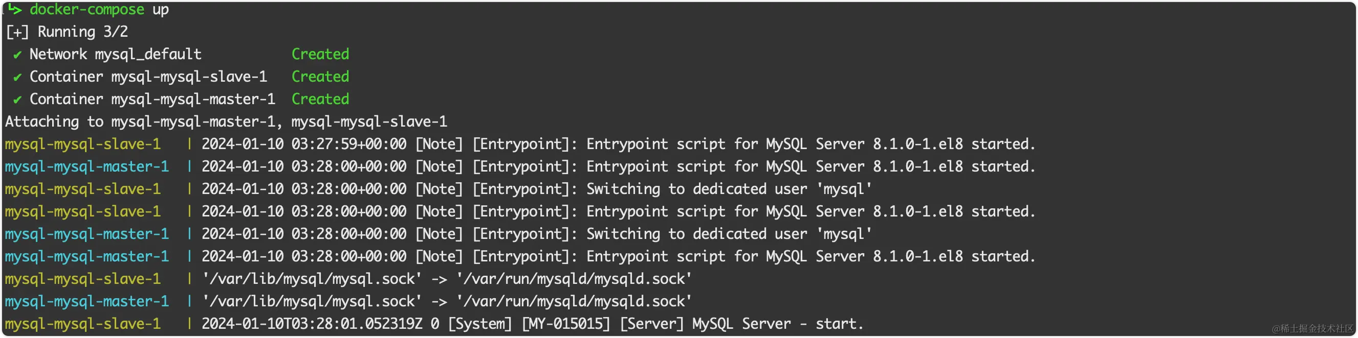 启动mysql主从服务