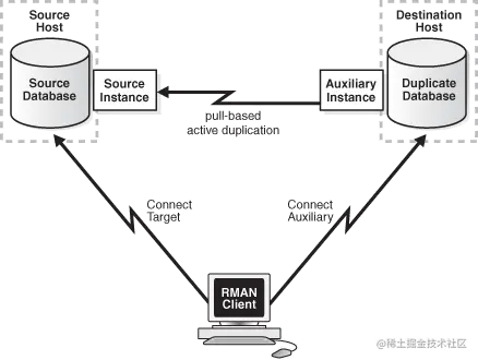 Description of Figure 25-5 follows