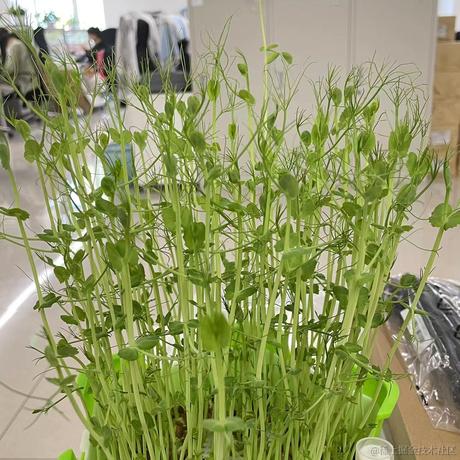 Aly于2022-09-06 10:16发布的图片