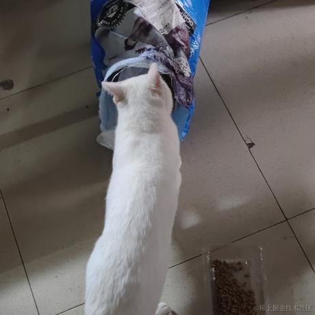 狂暴卷纸洗衣机于2022-11-09 18:28发布的图片