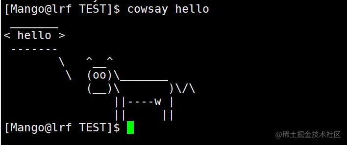 image-20220404210553811