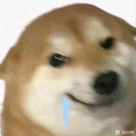 国1v于2023-06-19 19:09发布的图片