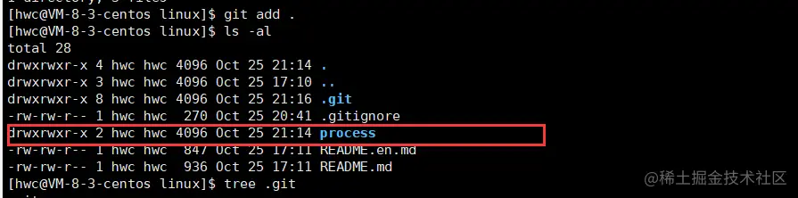 image-20221025215803940