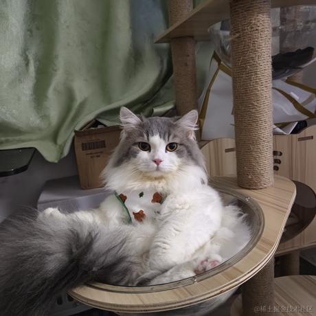 吵钢yu于2023-12-04 14:27发布的图片