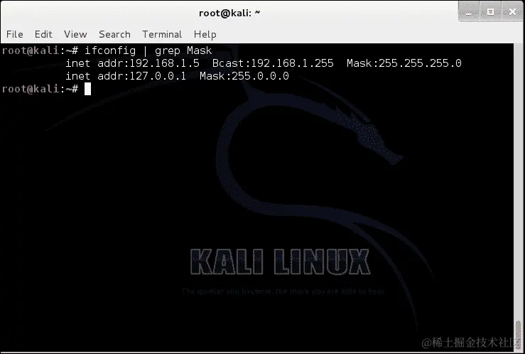 确定 Kali Linux 中的网络规模