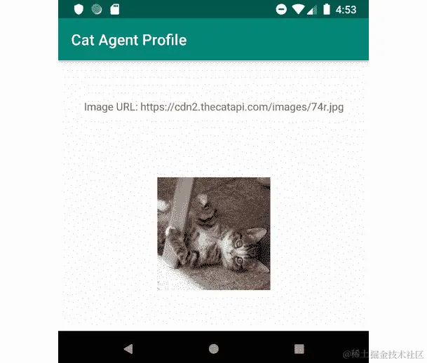 图 5.5：练习结果-显示随机图像及其源 URL