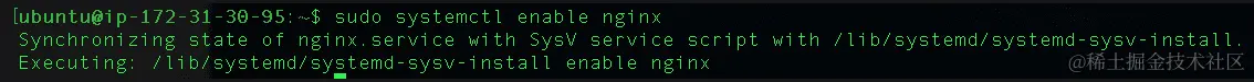 图 17.28 – 启用 NGINX 在系统启动时启动