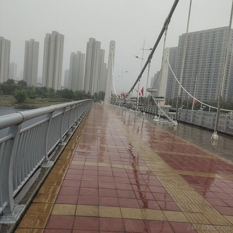 鱼鲤于2022-10-03 18:07发布的图片