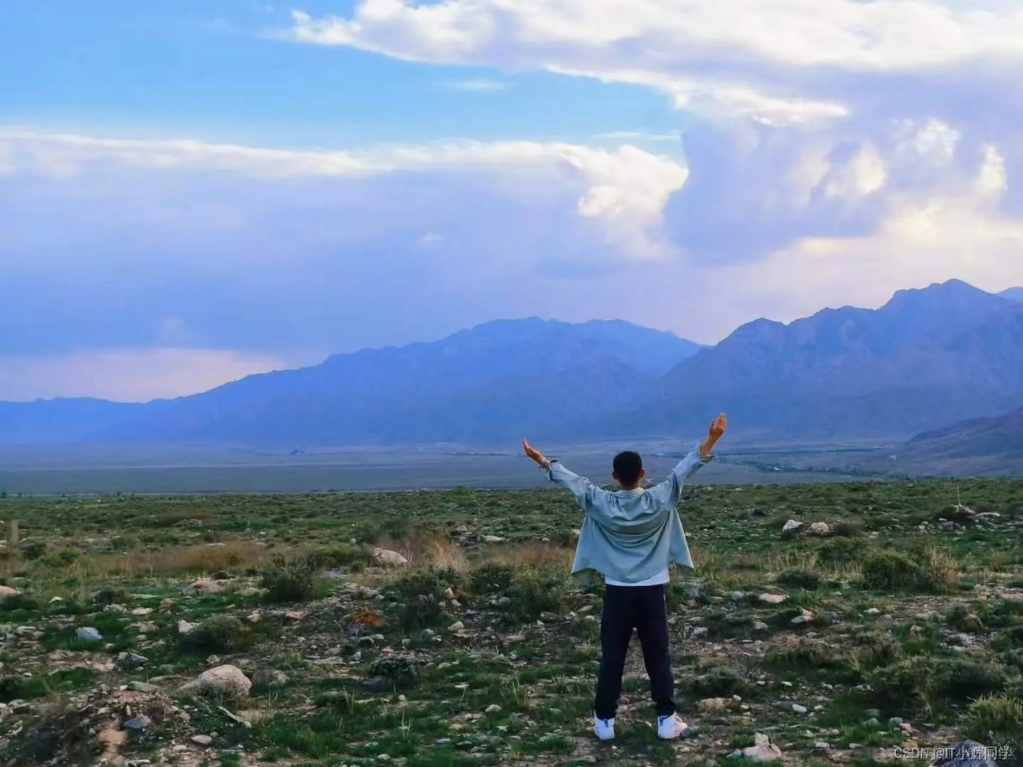 在这里插入图片描述