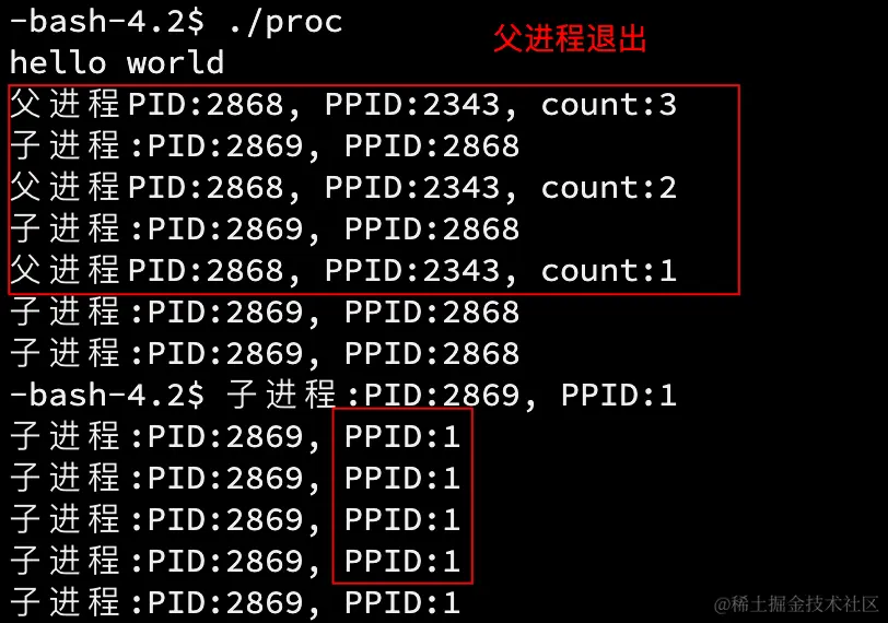 image-20220929091648816