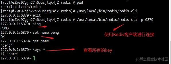 image-20201223044731982