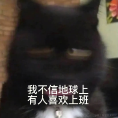 什么时候才给我涨工资于2022-12-09 09:28发布的图片