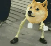 æå¨dogeè¡¨æ