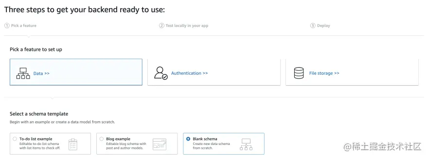 choose data and blank schema