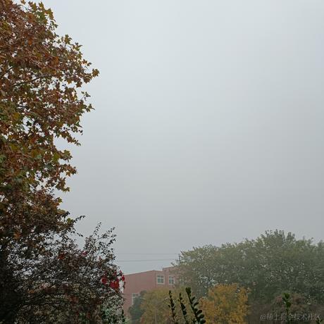 東雪連今天吃什么于2022-11-20 07:33发布的图片