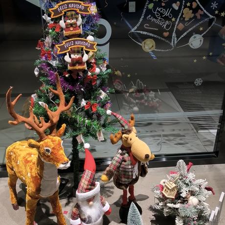 Cyndi于2022-12-17 22:53发布的图片