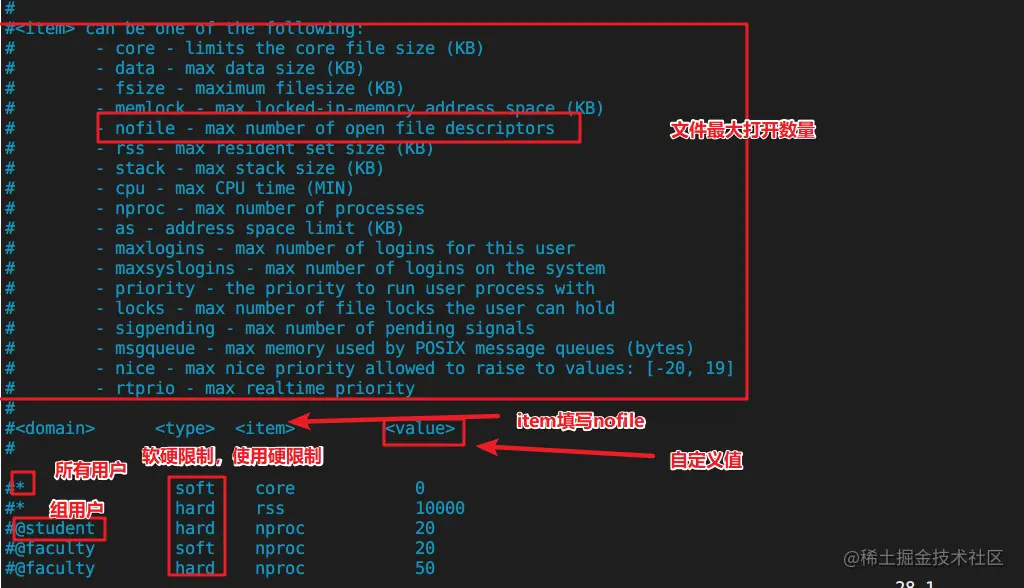 image-20220504021634007