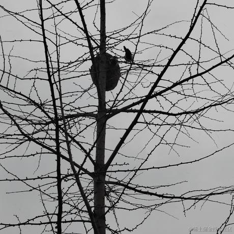 laiusztz于2022-12-11 18:49发布的图片