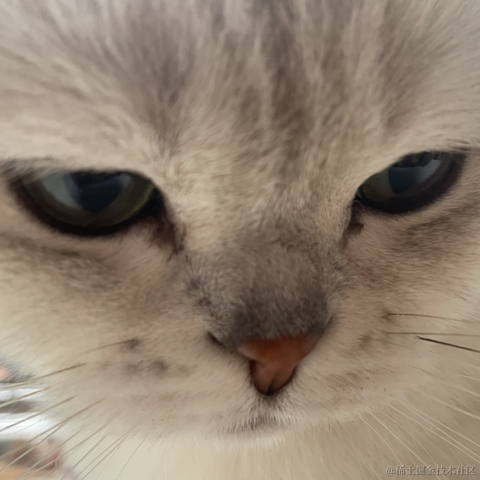 喵怼怼于2023-05-26 08:39发布的图片